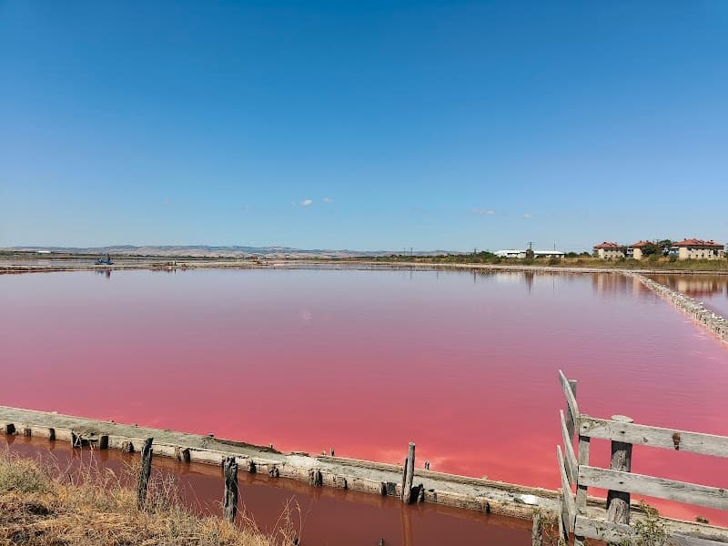 Розовото езеро