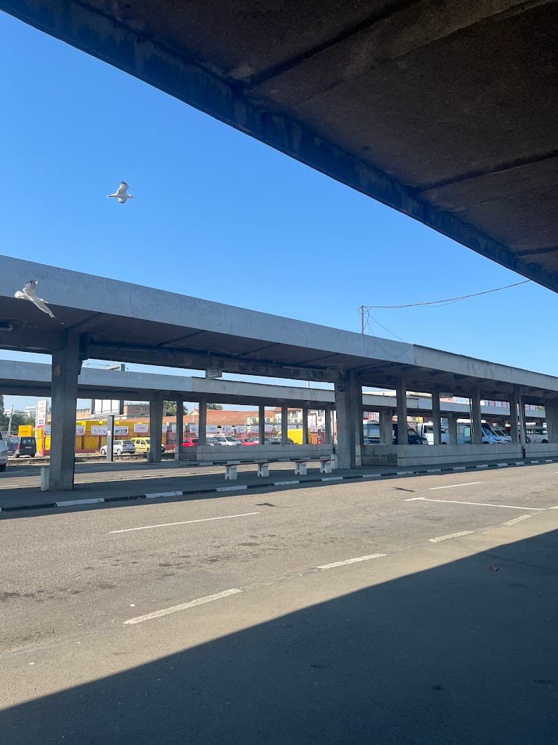 Автогара Запад