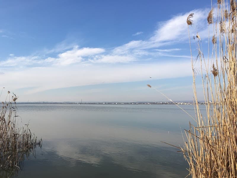 Бургаско езеро (Вая)